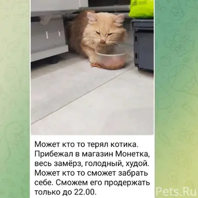 Компрессорный!!! Найден замёрз...