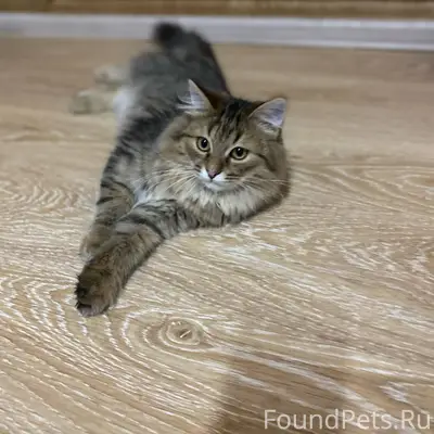 Друзья! ♥️♥️♥️ У нас Хорошая н...