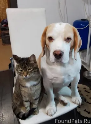 Доброго времени суток. Убежал ...