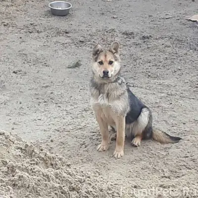 21 января п Боровский с ул...