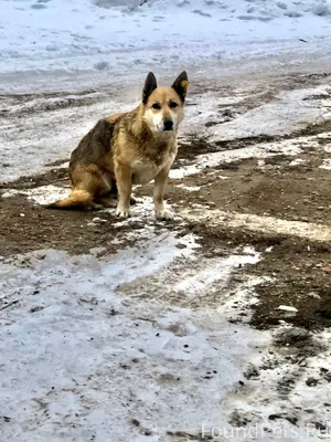 В организации примерно 3 месяц...