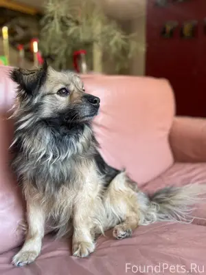 КАЗАНЬ!!!! Вот такой, замечате...