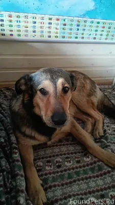 Доброго времени суток 🤗 Помоги...