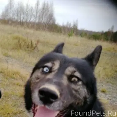 ВНИМАНИЕ! г. Невель,ул.Гоголя....