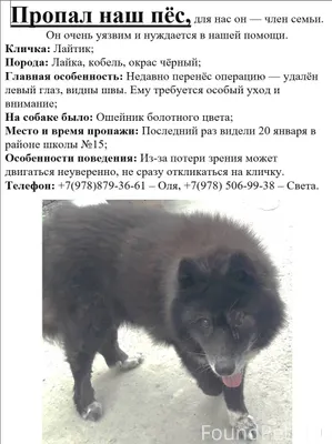 😍Сердечное спасибо! Нашу собак...