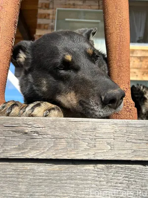 Здравствуйте! В понедельник с ...