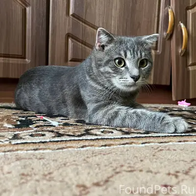 На руднике, в районе магазина ...