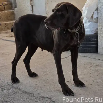 Добрый вечер.Помогите пожалуйс...