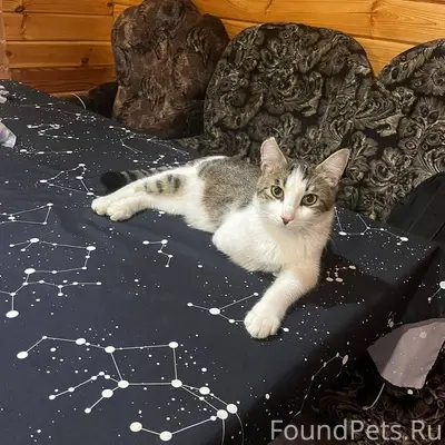 22.01.2026 В Кулебаках убежал....