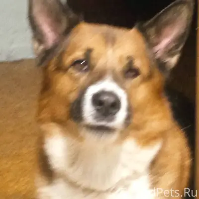 Помогите найти друга, члена се...