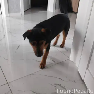 Г. Темрюк правобережный район ...