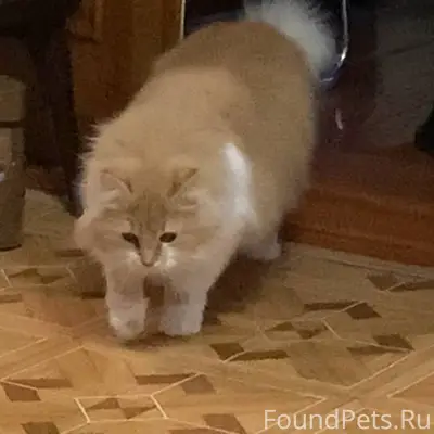 Помогите, пожалуйста, найти ко...