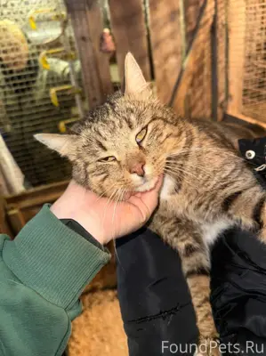 💕А это тот самый🐈‍⬛ ВАСИЛИЙ, к...