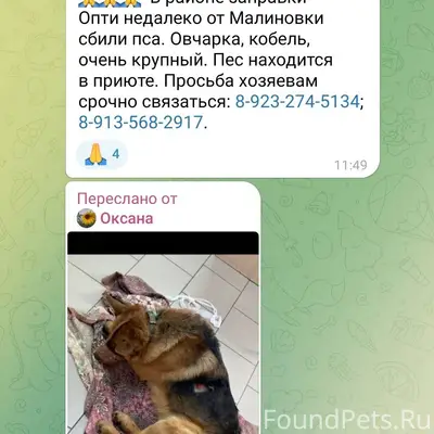 Кто потерял собака с ошейником...