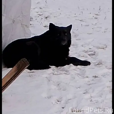 Всем доброго дня, уважаемые жи...