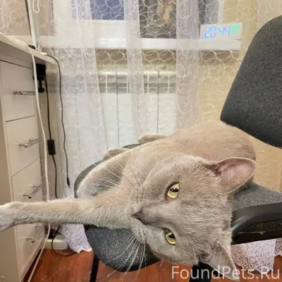 Друзья, соседи, добрые люди! Н...