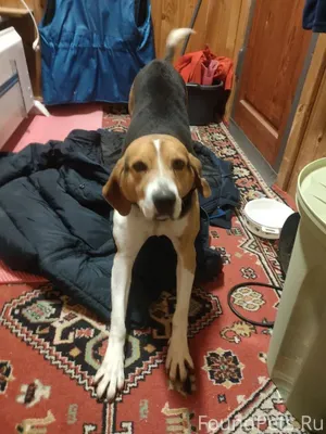 #Калужская_область #Малояросла...