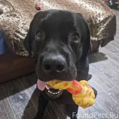 Друзья! ‼️Сделайте пожалуйста ...