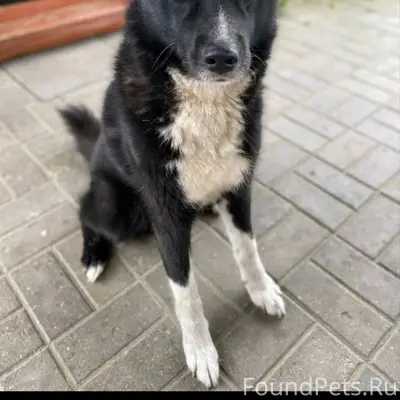 Здравствуйте! 29 декабря 2025 ...