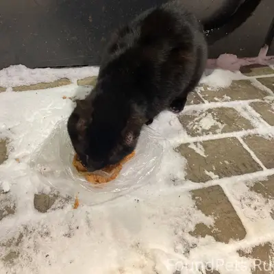 🆘🆘🆘 Очень нужна передержка или...