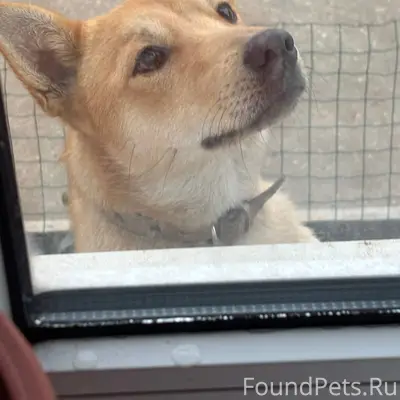 Всем здравствуйте! Пропала соб...