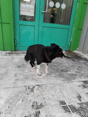 Заводской район, Горьковская 6...