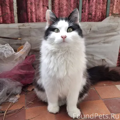 19 декабря 2025 года найден мо...