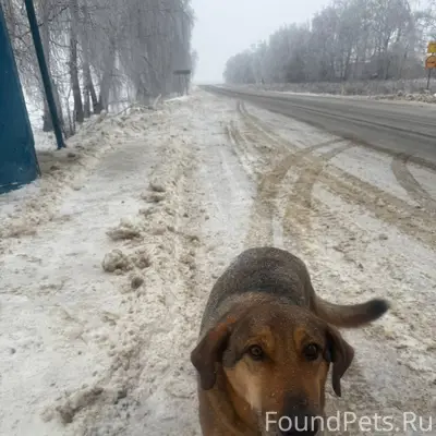 23.01.26 🆘✅🆘✅🆘✅🆘✅🆘✅🆘✅🆘✅ ЧЬЯ???...