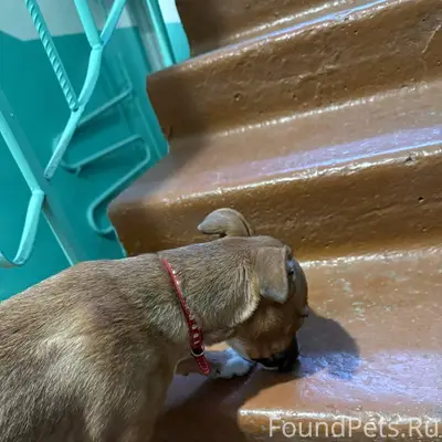 23.01.2026 В новоленино на...