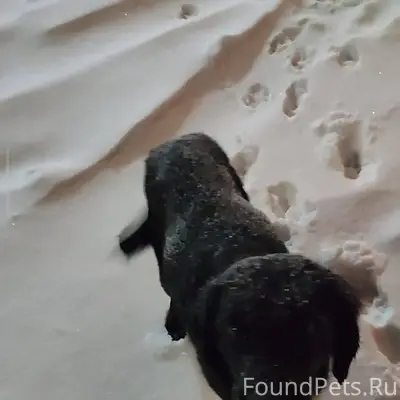 Сегодня вечером в поле, возле ...