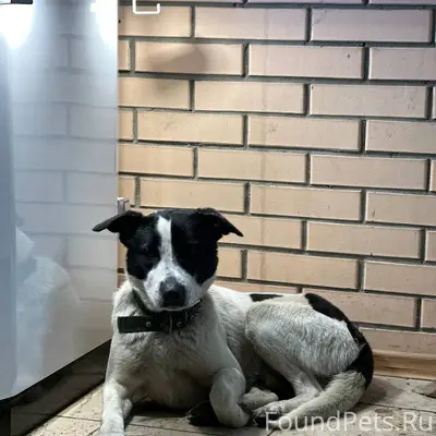 🆘🆘🆘🆘🆘🆘🆘 Ростов-на-Дону! Найден...