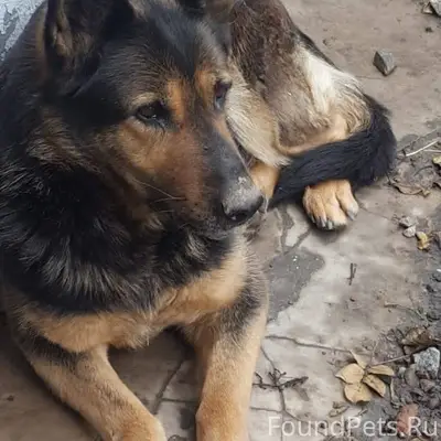 18 января из района Богудония,...