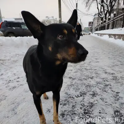 Прошу опубликовать! В центре И...