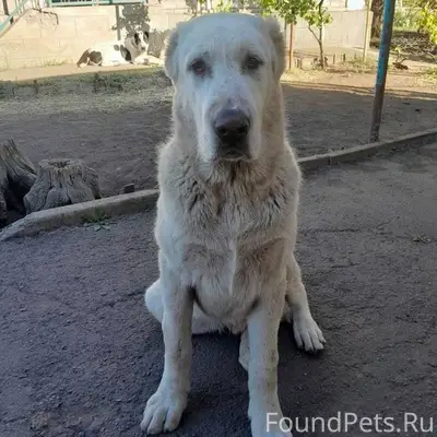 ‼️МАКСИМАЛЬНЫЙ РЕПОСТ‼️ 20 янв...