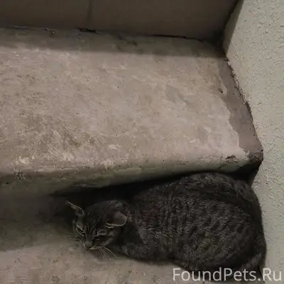 22.01 в доме по адресу...