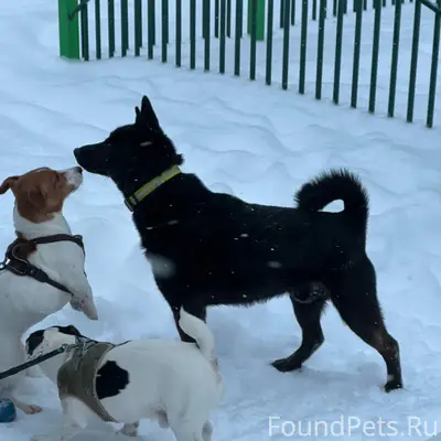 🙏📣‼️Доброе утро! Домодедово Кт...
