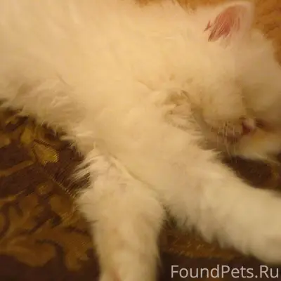 Помогаю информационно. ‼ПРОШУ ...