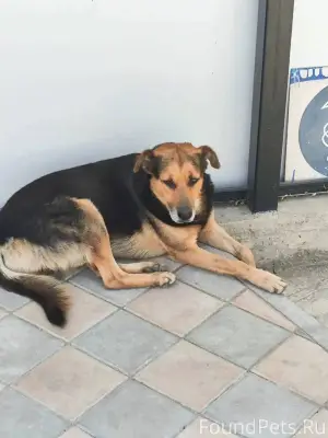 ‼Требуется помощь в поиске соб...