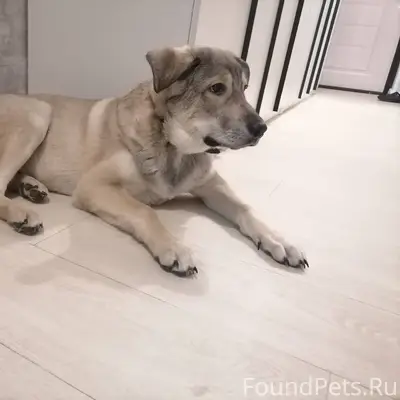 ❗❗❗ Пожалуйста, сделайте, репо...