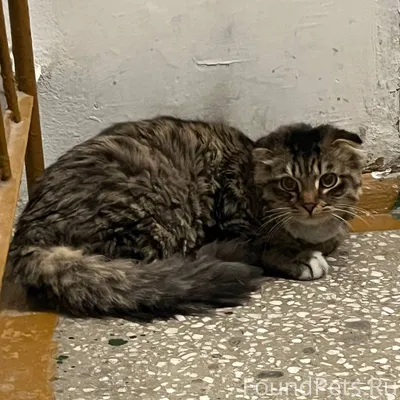 Кировский район, затулинка Уже...