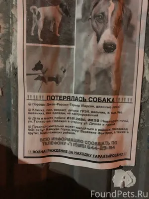 «Дорогой Дневничок! 🛟 🆘🆘🆘 Чере...