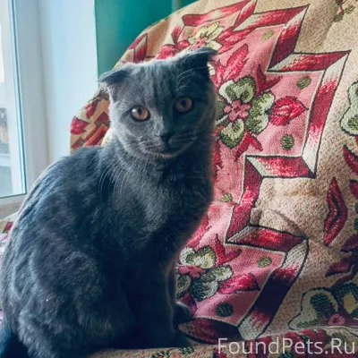 В районе Вокзала была найдена ...