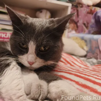 Здравствуйте. Опубликуйте, пож...