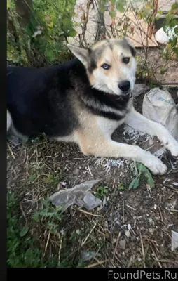 Здравствуйте,пожалуйста размес...