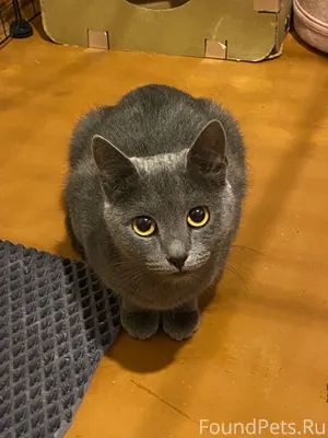 Фотопривет из дома от Вари💌❣️ ...