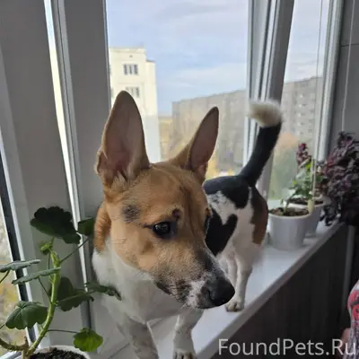 Добрый день! Пожалуйста распро...