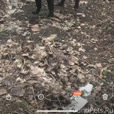 🙏🆘📣Дорогие друзья!!! Помогите ...