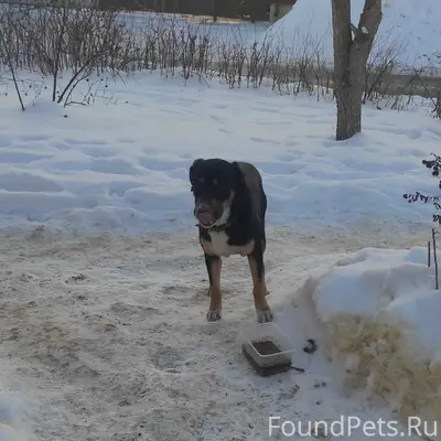 Сегодня на перекрестке 2-я пуш...