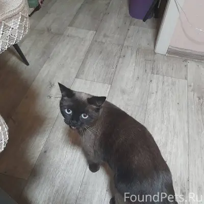 Алушта. На ул. Партизанская в ...