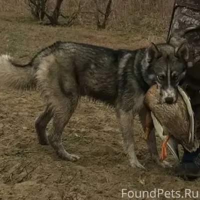 Здравствуйте! Разместите пожал...
